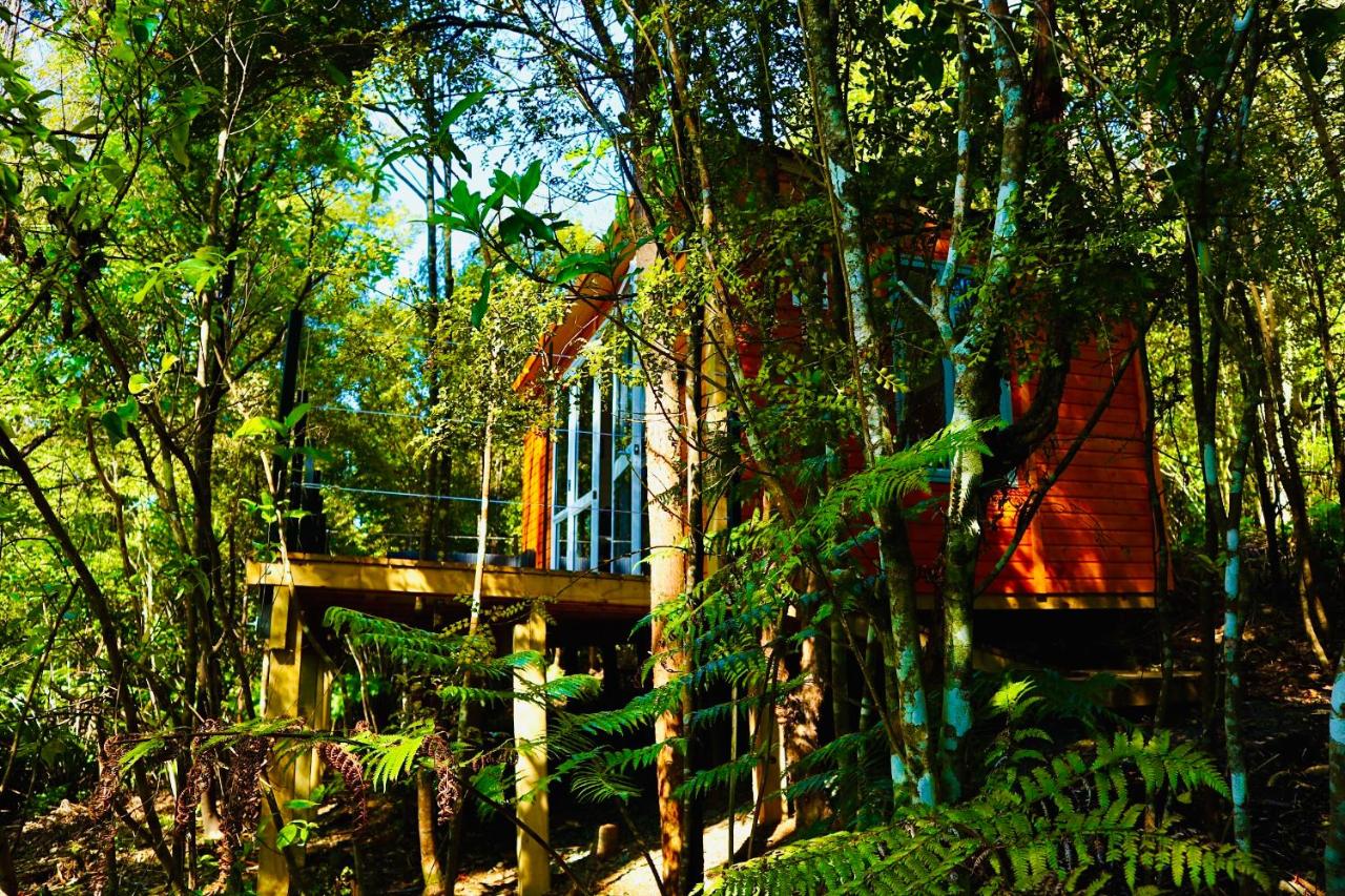 Fantail Bush Chalet - B&B Parakakau
