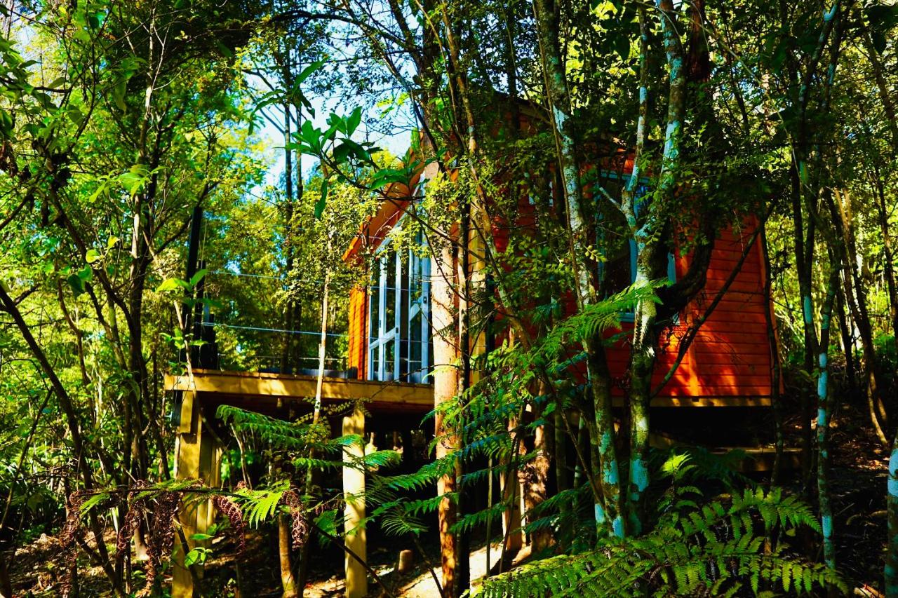 B&B Parakakau - Fantail Bush Chalet - Bed and Breakfast Parakakau