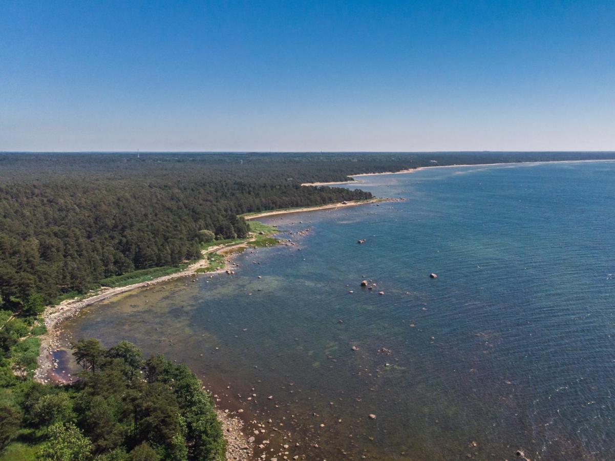 Taimela Holiday Home with Sauna - B&B Lohusalu