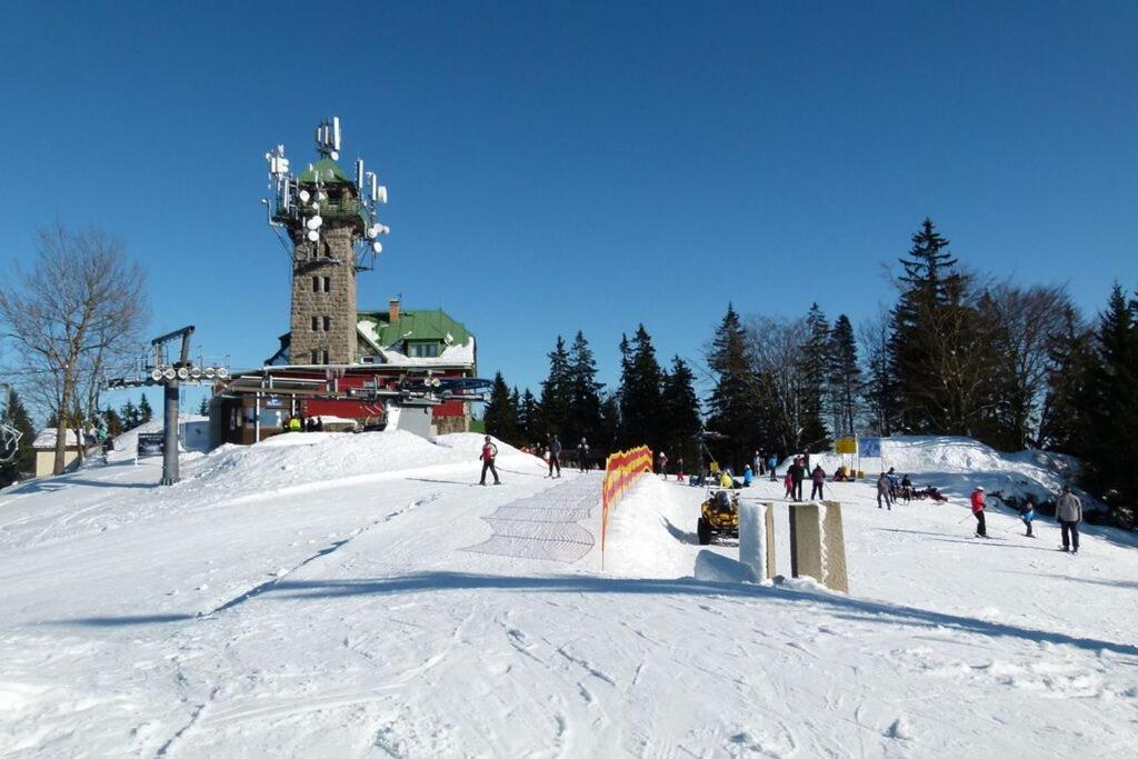 Appartement 1 Chambre
