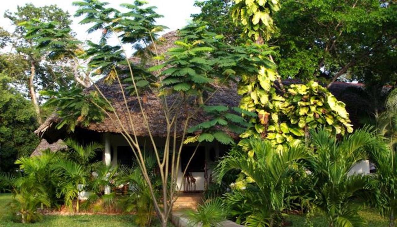 Bungalow Najuma - Côté Jardin