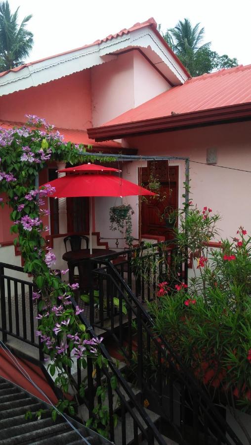 Tissa Rainbow Guest & Yala - Bed and Breakfast