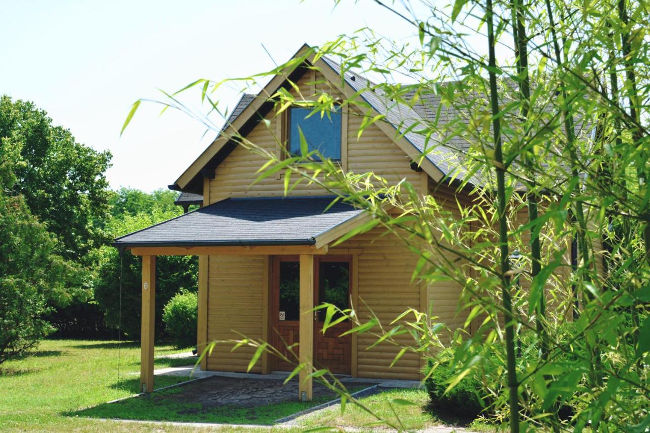 Matkó Airport és Élményközpont - B&B Matkó