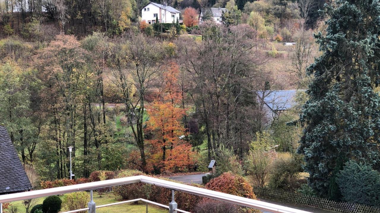 FeWo Stryck Idyllika - B&B Willingen