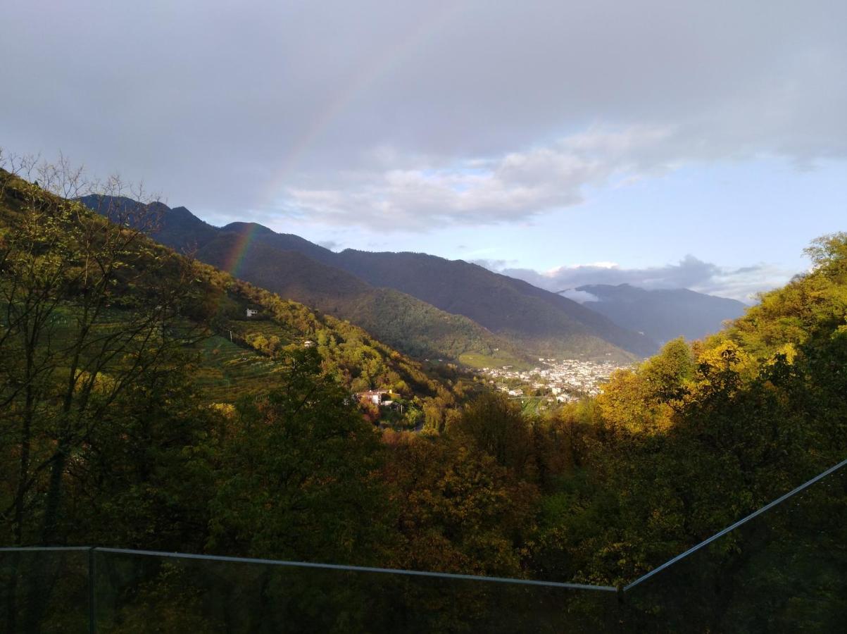 Doppel-/Zweibettzimmer mit Bergblick