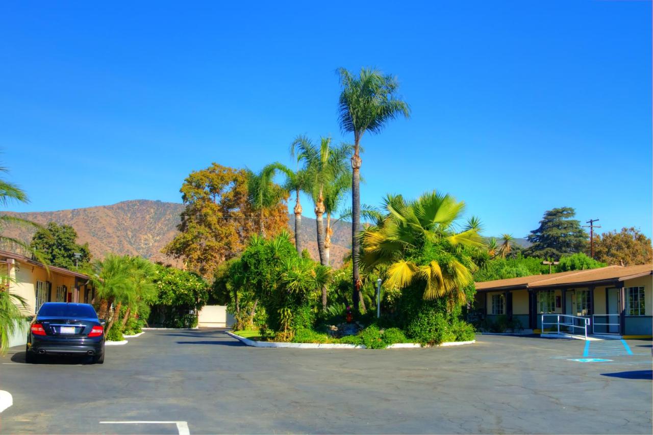 Palm Tropics Motel - B&B