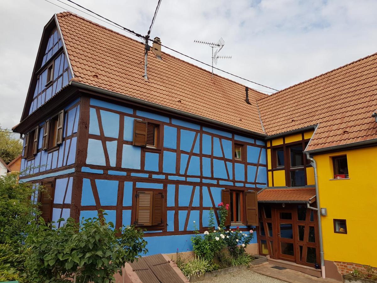 B&B Kurtzenhouse - maisonbleue67 - Bed and Breakfast Kurtzenhouse