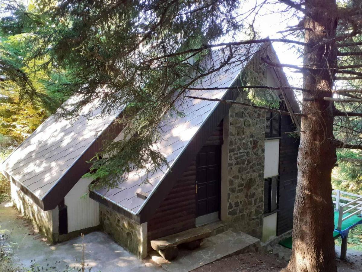 VILA PAVLOVIC - Ferienwohnung