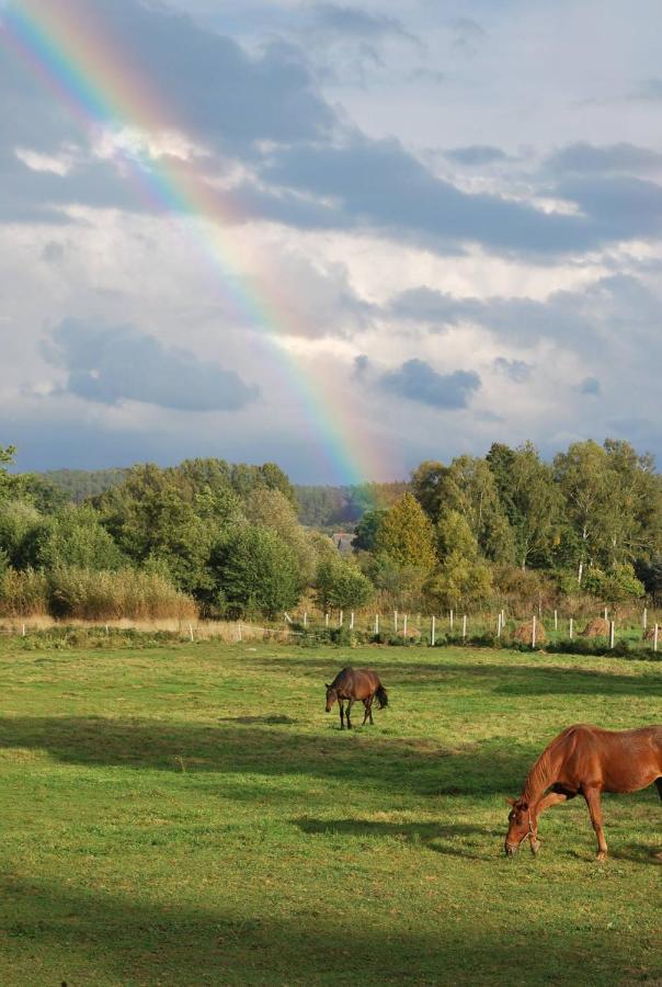 B&B Mętno - Agroturystyka Mętno 18 - Bed and Breakfast Mętno