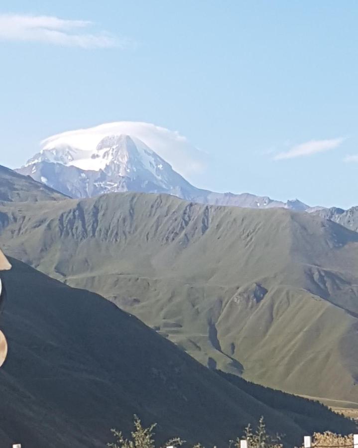 New Gudauri Loft 2 - "Mano", near ski lift Gondola - Bed and Breakfast Gudauri