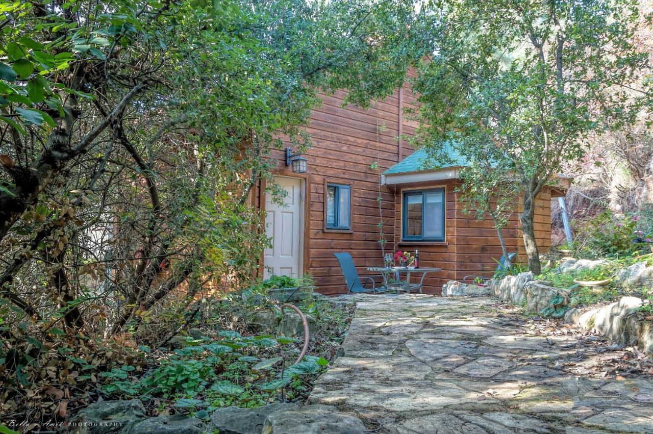 Dream Time - B&B