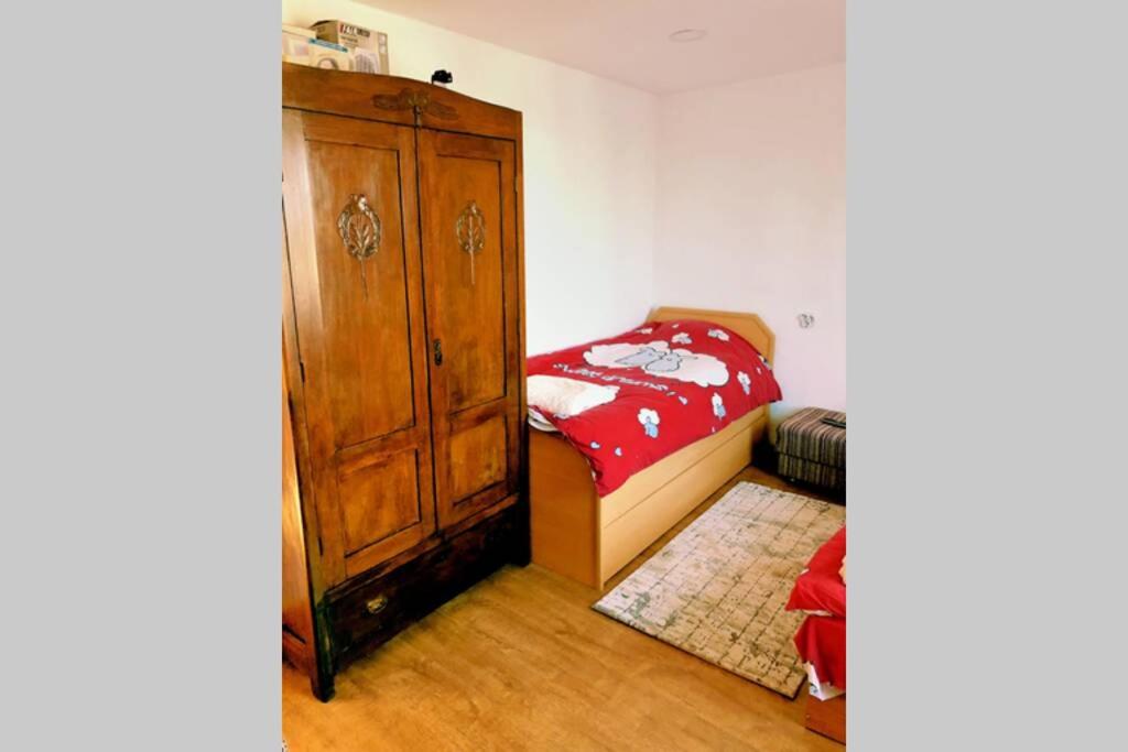 Нouse with cute little yard - B&B Plovdiv