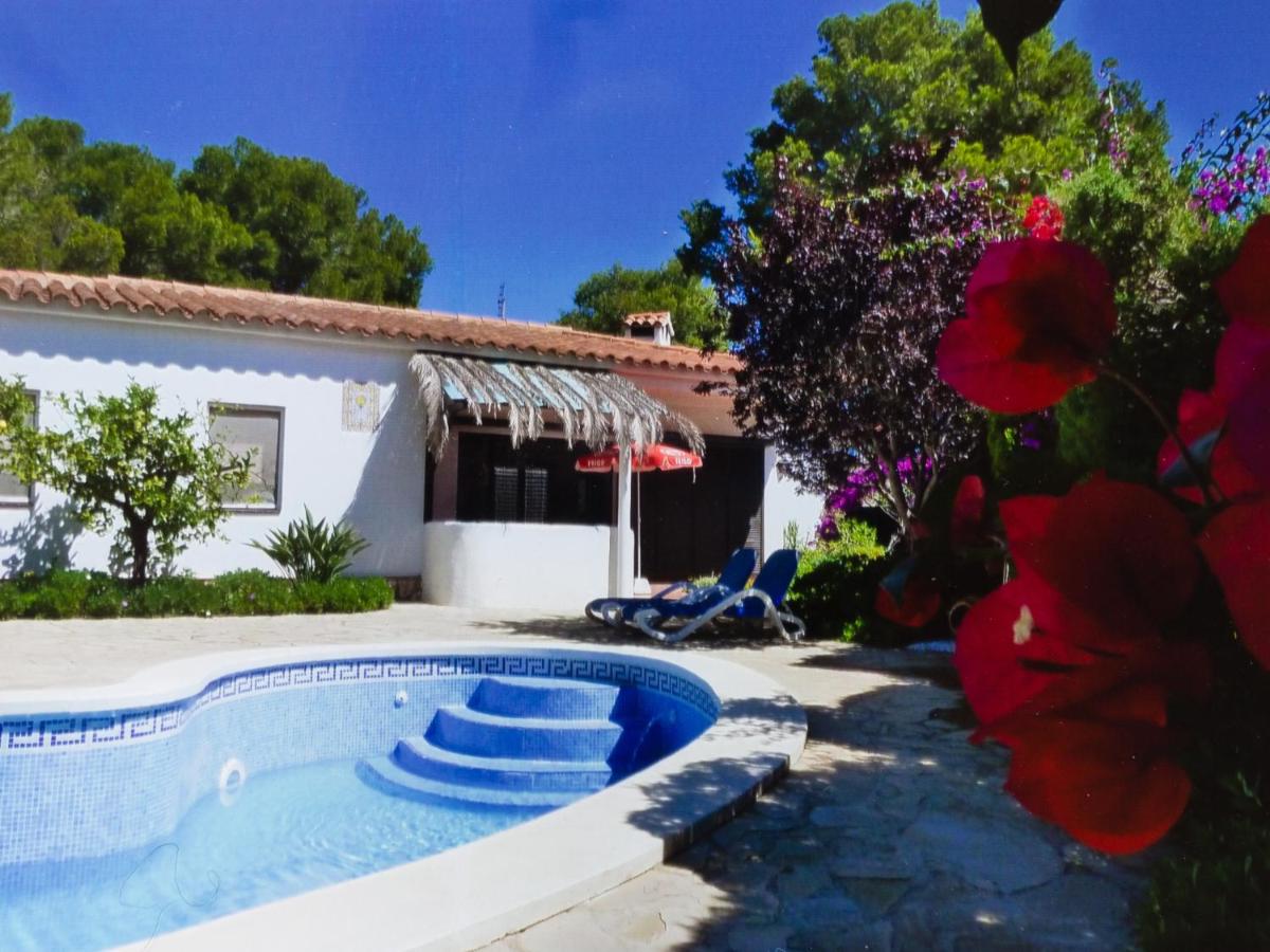 INNOUTHOME Gran villa con piscina torrent del pi - Bed and Breakfast