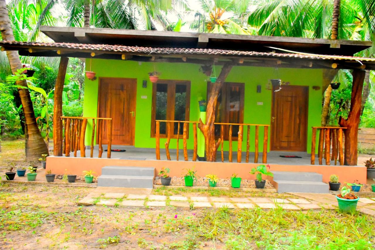 The river face safari resort - B&B Udawalawa