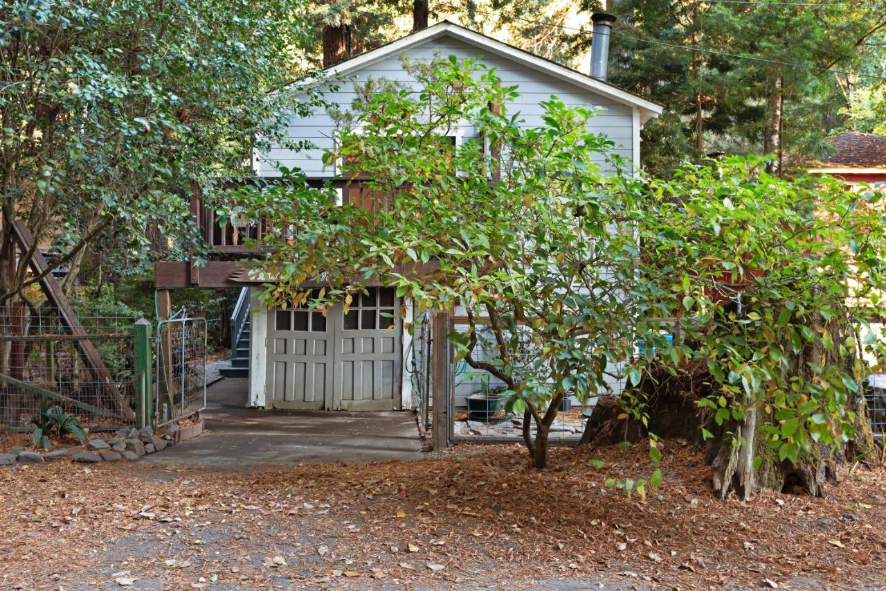 Terra - B&B Monte Rio