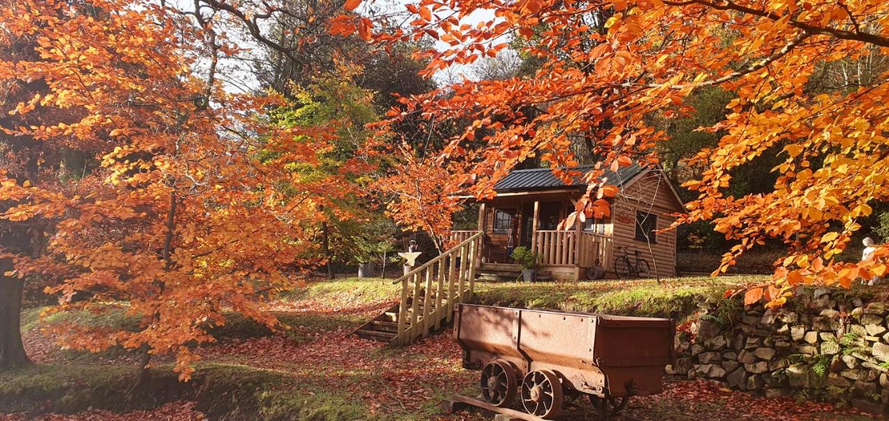 The Miners Log Cabin - Chambres d’hôtes Blaina