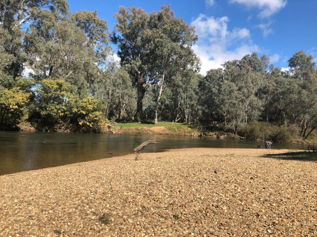 B&B Wangaratta - Beltie Park Homestead - Bed and Breakfast Wangaratta