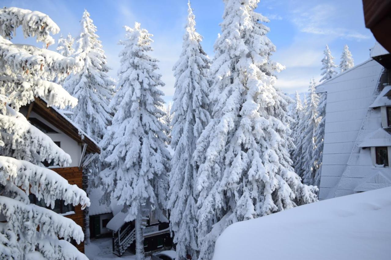 Vila Plan centar Kopaonik - Chambres d’hôtes Kopaonik