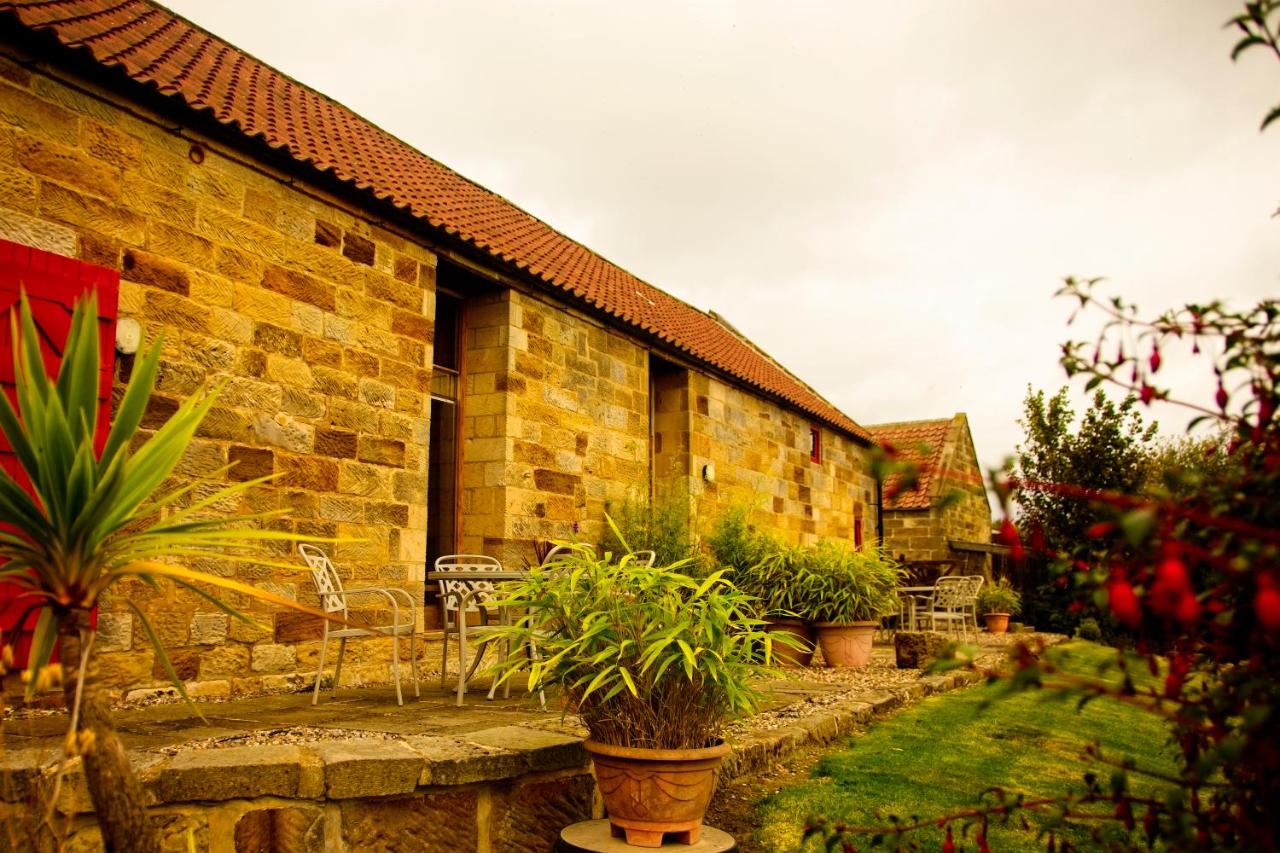 Spangle Cottage, Borrowby Farm Cottages - B&B