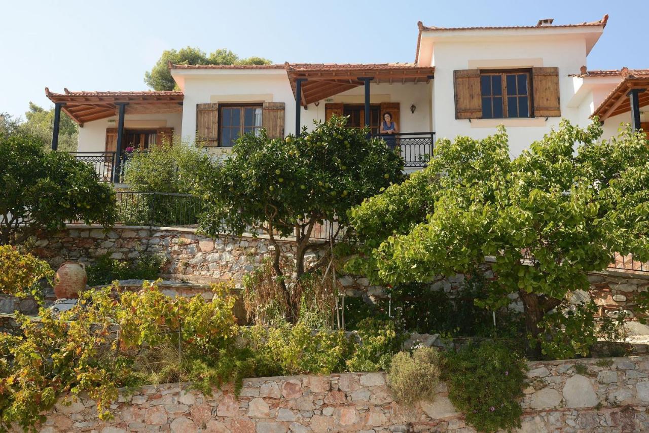 Betsanis Stafylos Apartments - B&B Stafylos