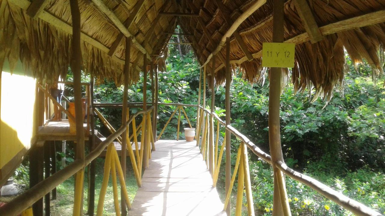CABAÑA Amazon LODGE - B&B