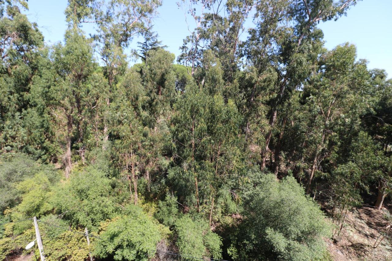 Treetops Lisbon Apartment - B&B