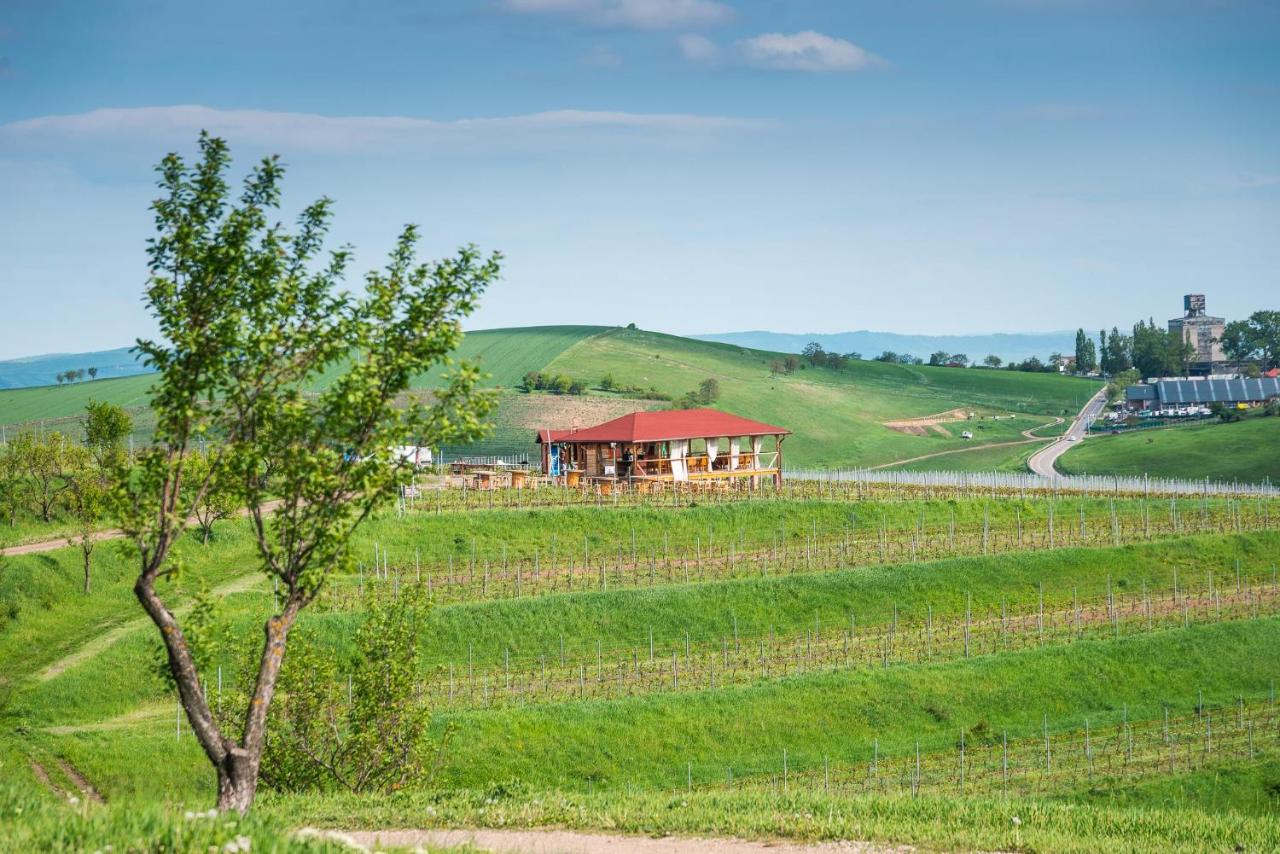 ISSA Garden - B&B Turda