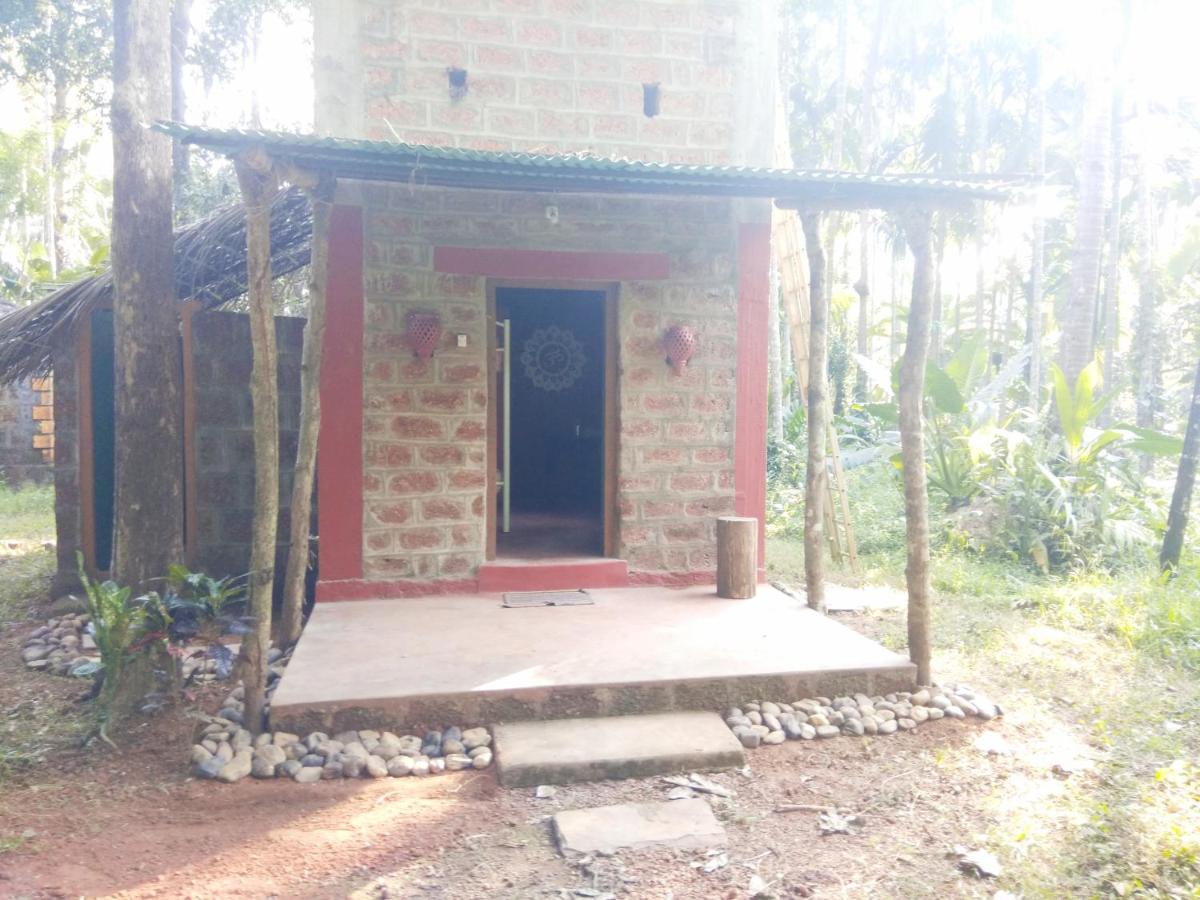 Dudhsagar Plantation - B&B