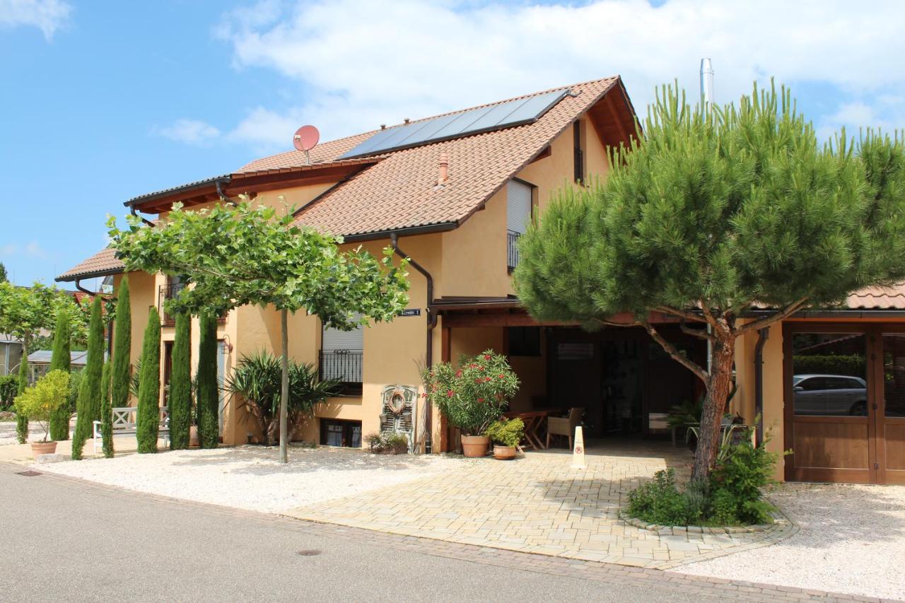 Pension Vanii, Apartments - Ferienwohnung Rust