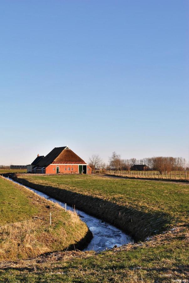 Klein Garnwerd 9 - B&B