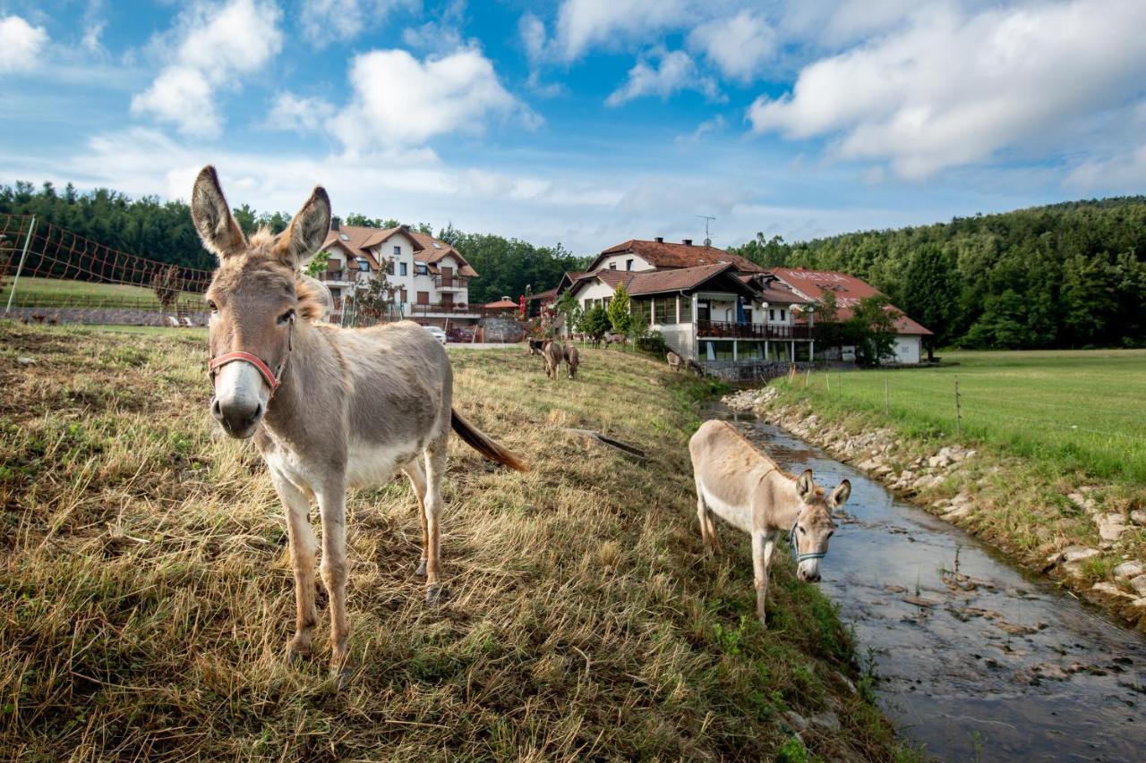 B&B Adelsberg - EkoTurizem Hudičevec - Bed and Breakfast Adelsberg