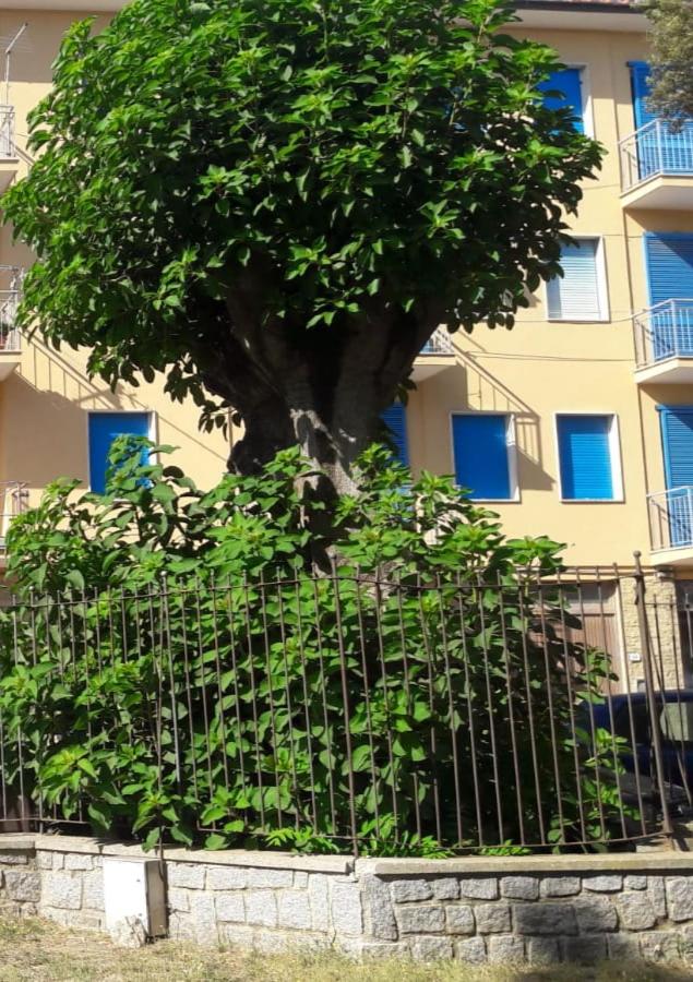 ELEGANTISSIMO APPARTAMENTO DIRETTAMENTE SUL MARE SPIAGGIA LE GHIAIE 6 posti letto - B&B