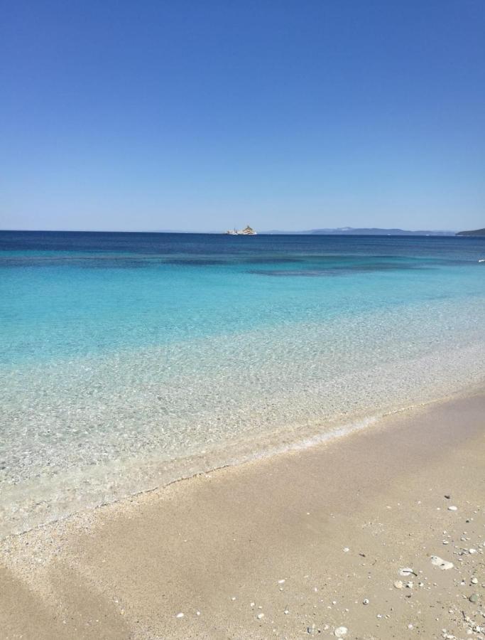 ELEGANTISSIMO APPARTAMENTO DIRETTAMENTE SUL MARE SPIAGGIA LE GHIAIE 6 posti letto - Chambres d'hôtes Portoferraio