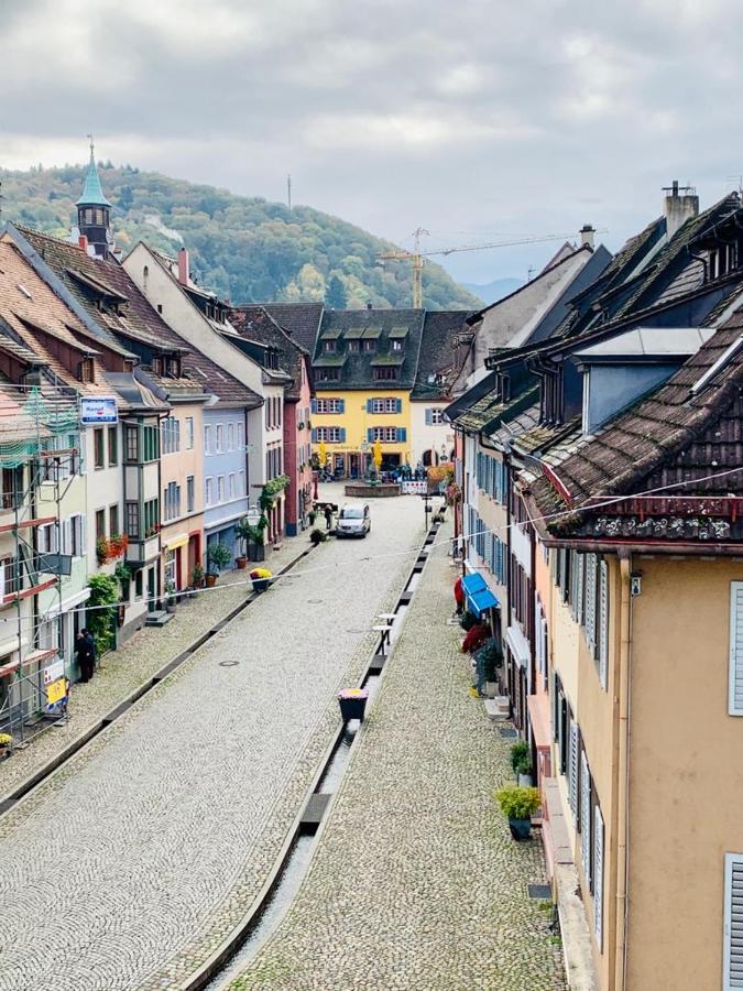 B&B Staufen im Breisgau - Maisonettewohnung über den Dächern der Altstadt - Bed and Breakfast Staufen im Breisgau