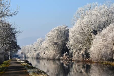 Camera Matrimoniale con Terrazza
