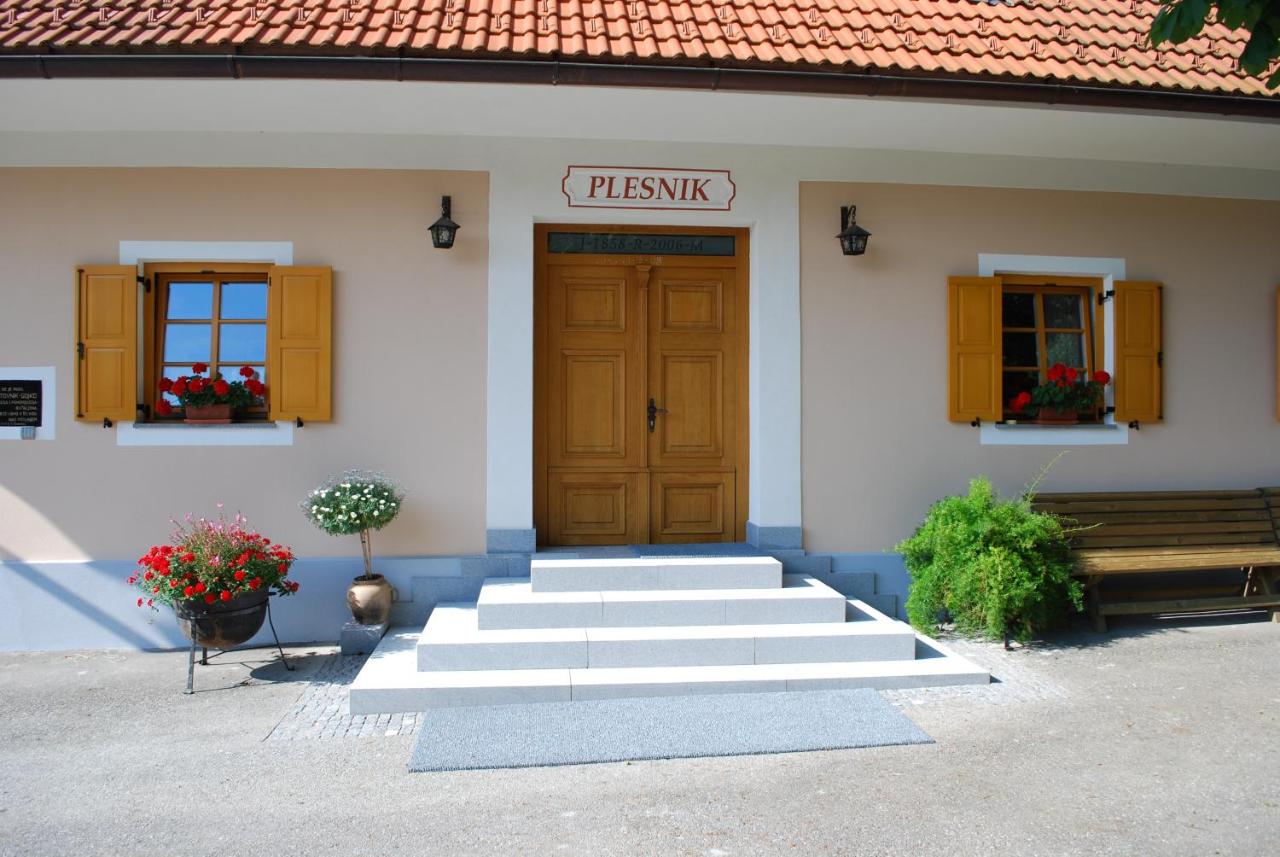 B&B Slovenj Gradec - Farm Stay Rotovnik - Plesnik - Bed and Breakfast Slovenj Gradec