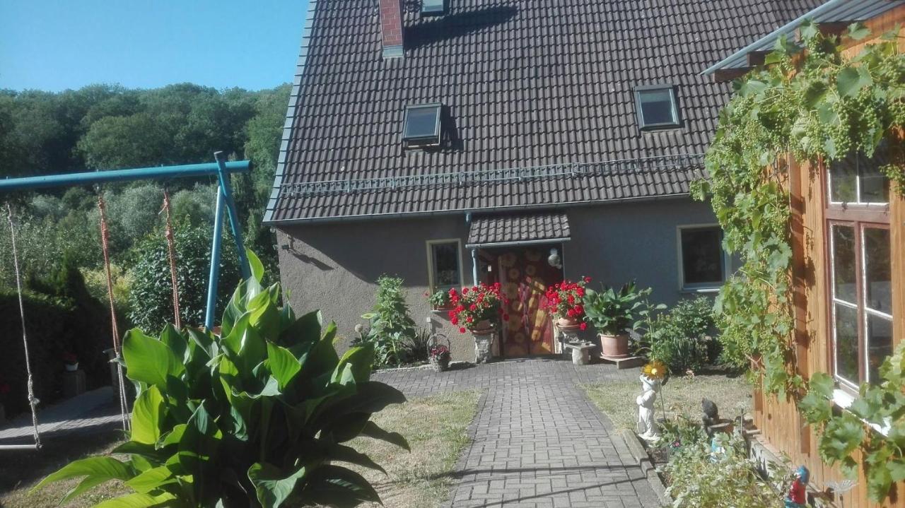Ferienwohnung Marion Franke - Ferienwohnung