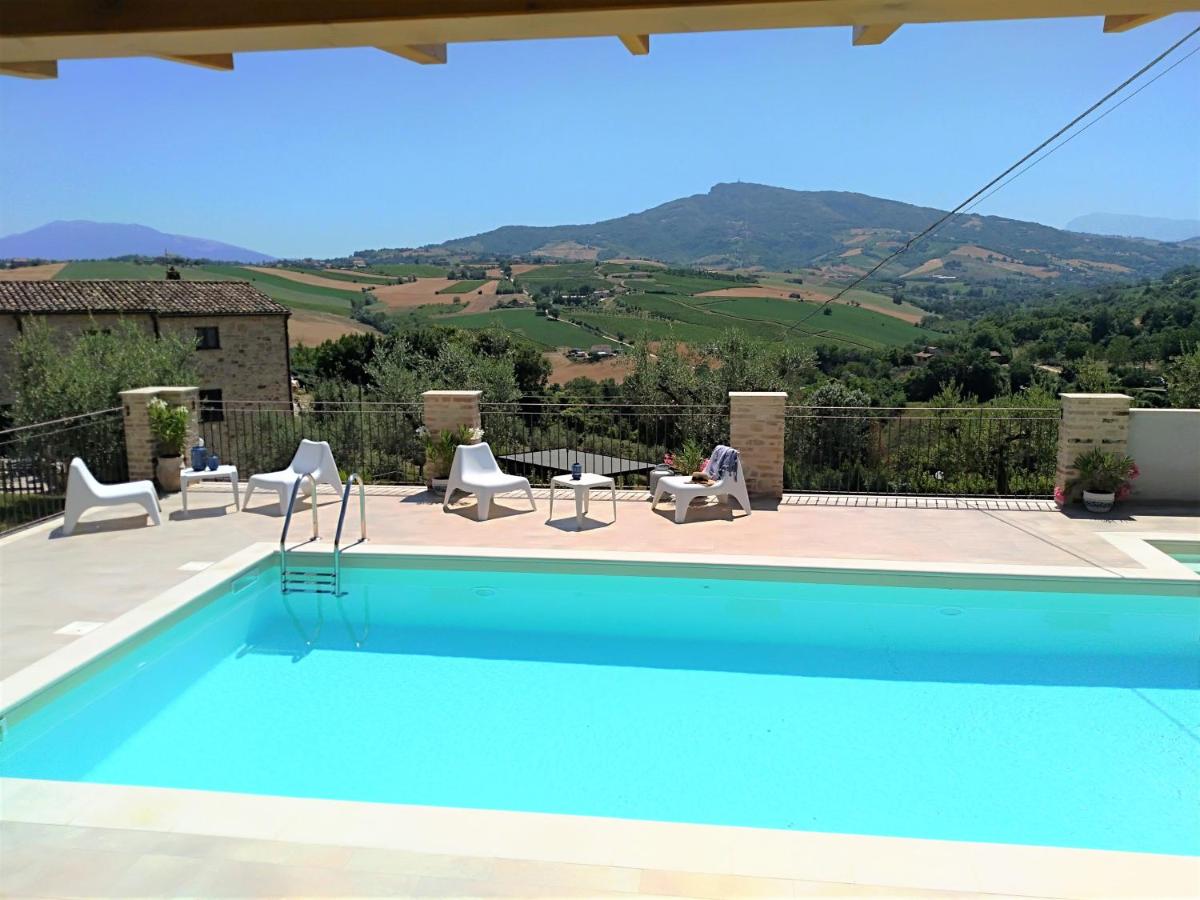 B&B Montalto delle Marche - Agriturismo Il Vecchio Acero - Bed and Breakfast Montalto delle Marche