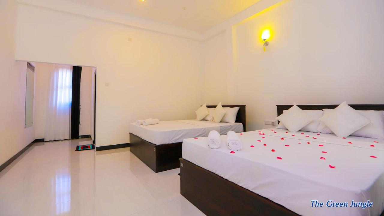 The Green Jungle - B&B Dambulla