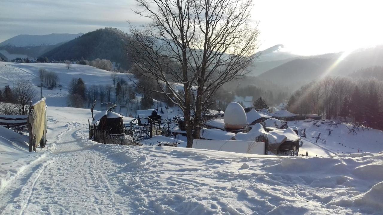 Appartamento con 2 Camere da Letto