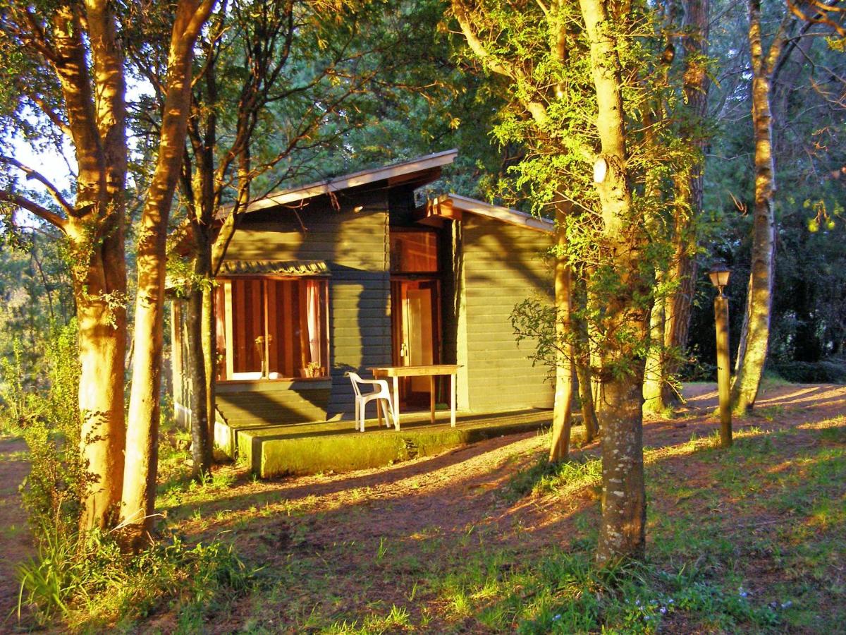 Cabañas Vista al Lago - B&B