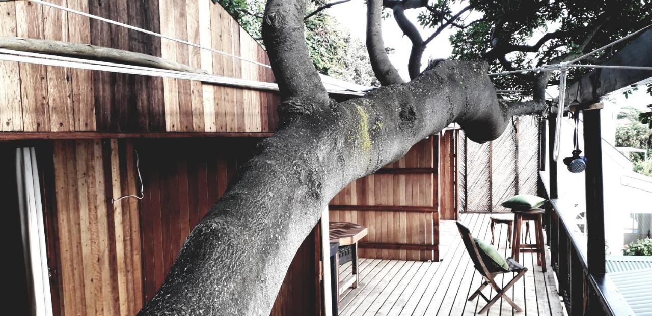 Scarborough Nature Lodge - B&B