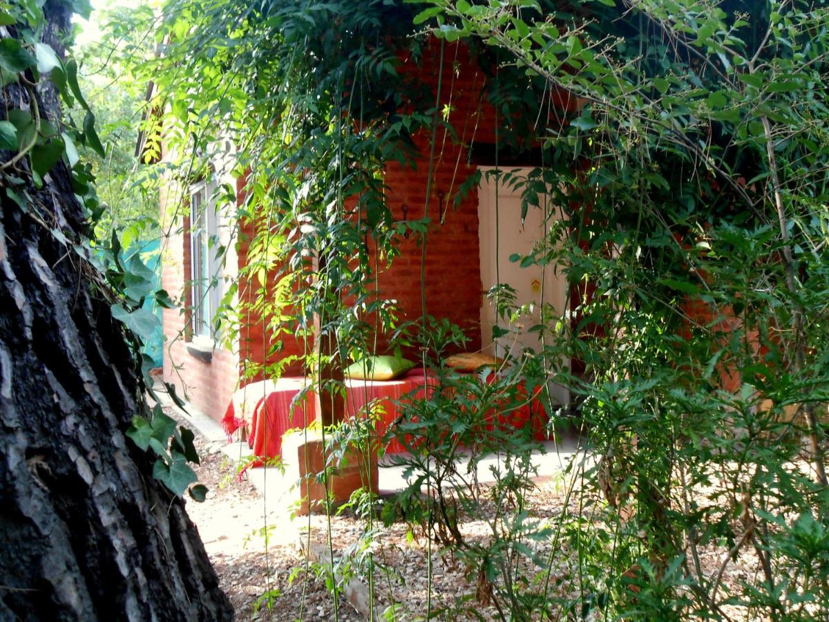 Bungalow met Patio