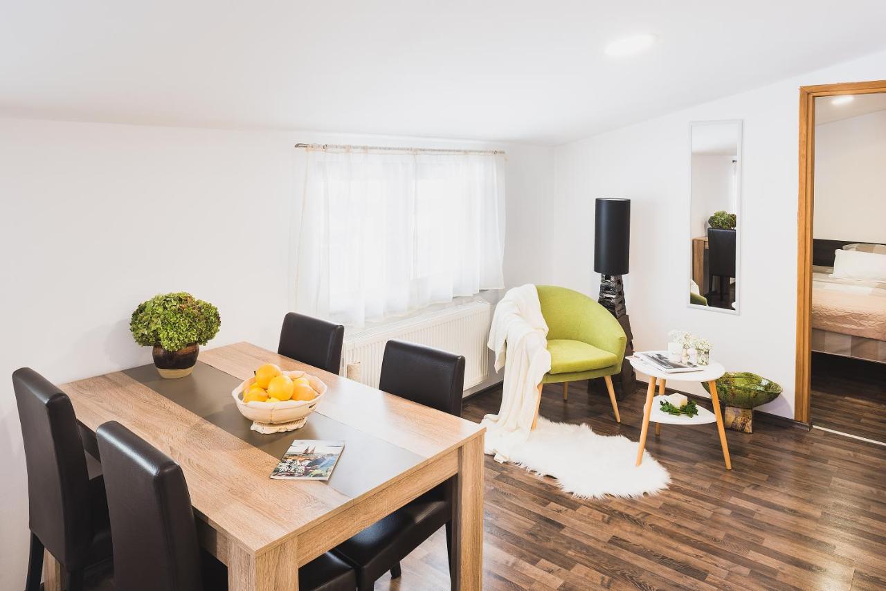 Apartments Dijana Zagreb Center - Free Parking - Chambres d’hôtes Zagreb