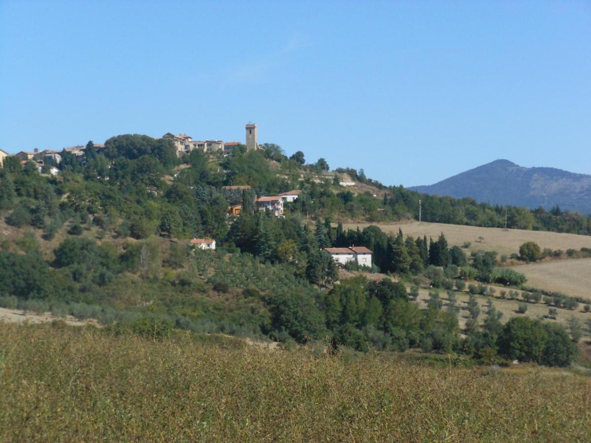 Appartamento Il Pianetto - B&B Celle sul Rigo