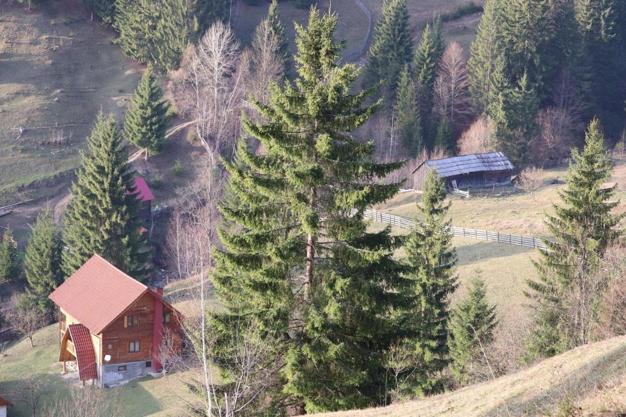 Quadruple Room with Mountain View