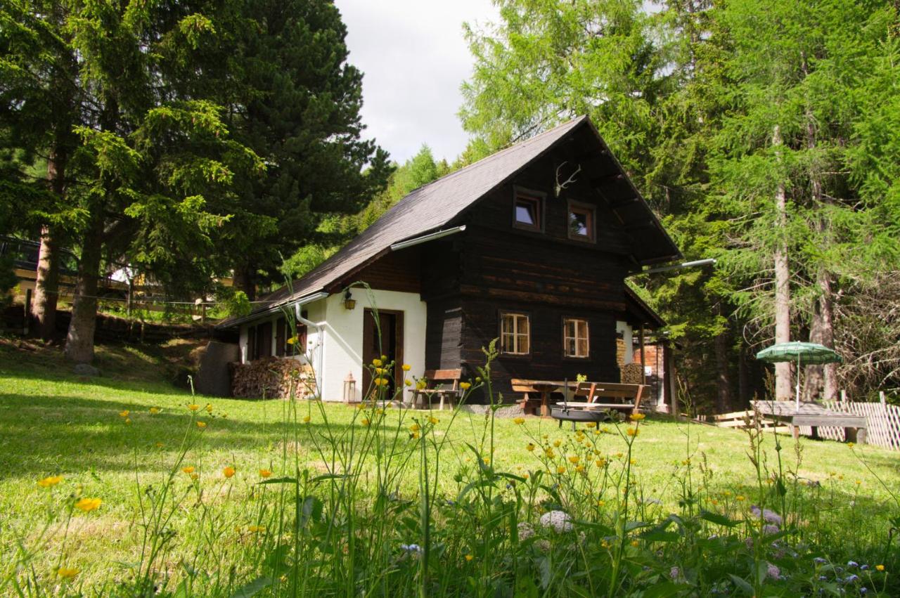 B&B Patergassen - Falkert-Hütte „Beim Almöhi" - Bed and Breakfast Patergassen