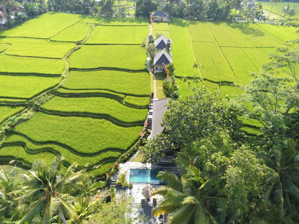 B&B Ubud - Puri Raya Villa - Bed and Breakfast Ubud