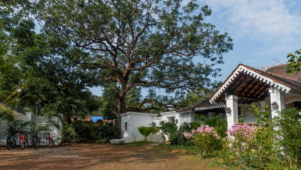 The Island Sanctuary - A Village Secret - B&B