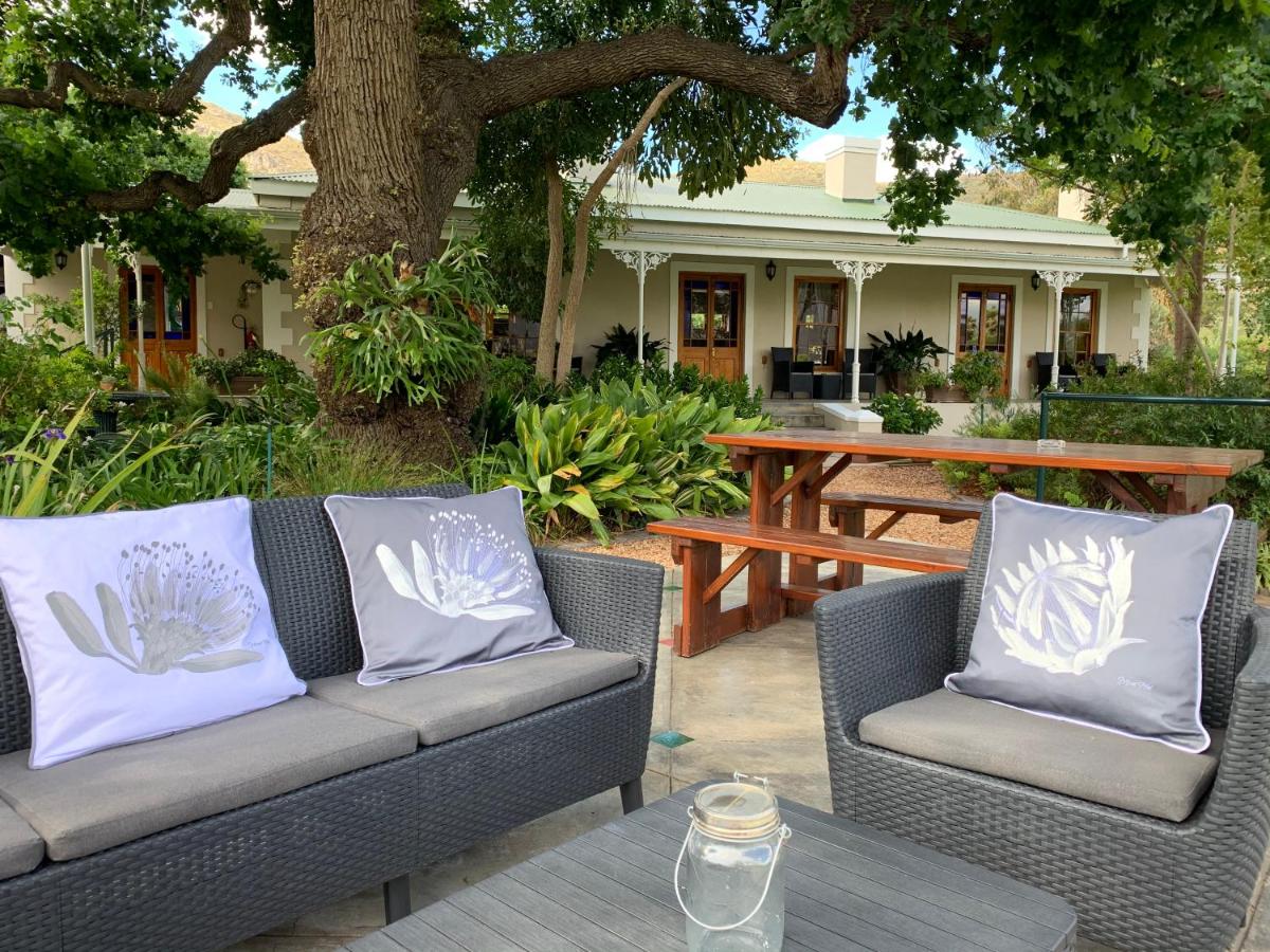 B&B Montagu - Montagu Vines Guesthouse - Bed and Breakfast Montagu